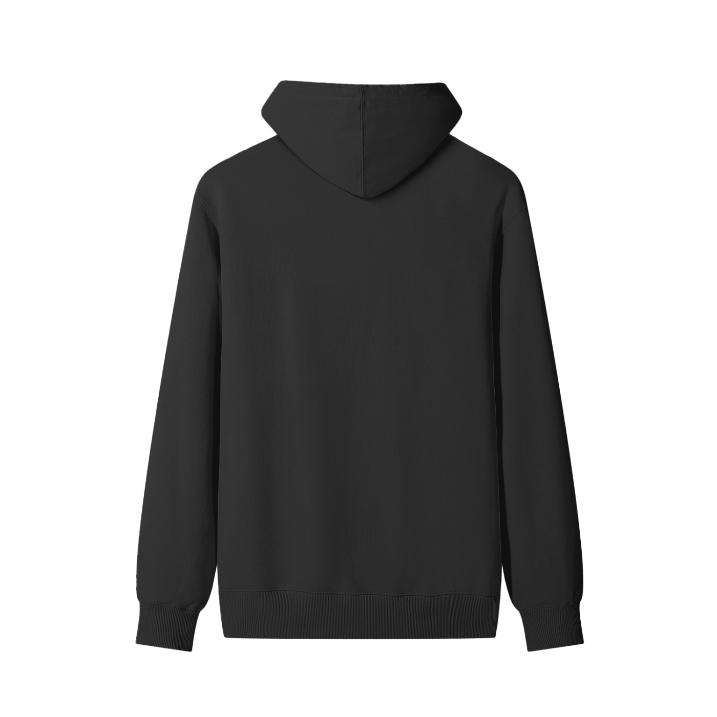 Flat lay of the sustainable Future-Homme daily uniform classic cotton hoodie in black backside on a white background