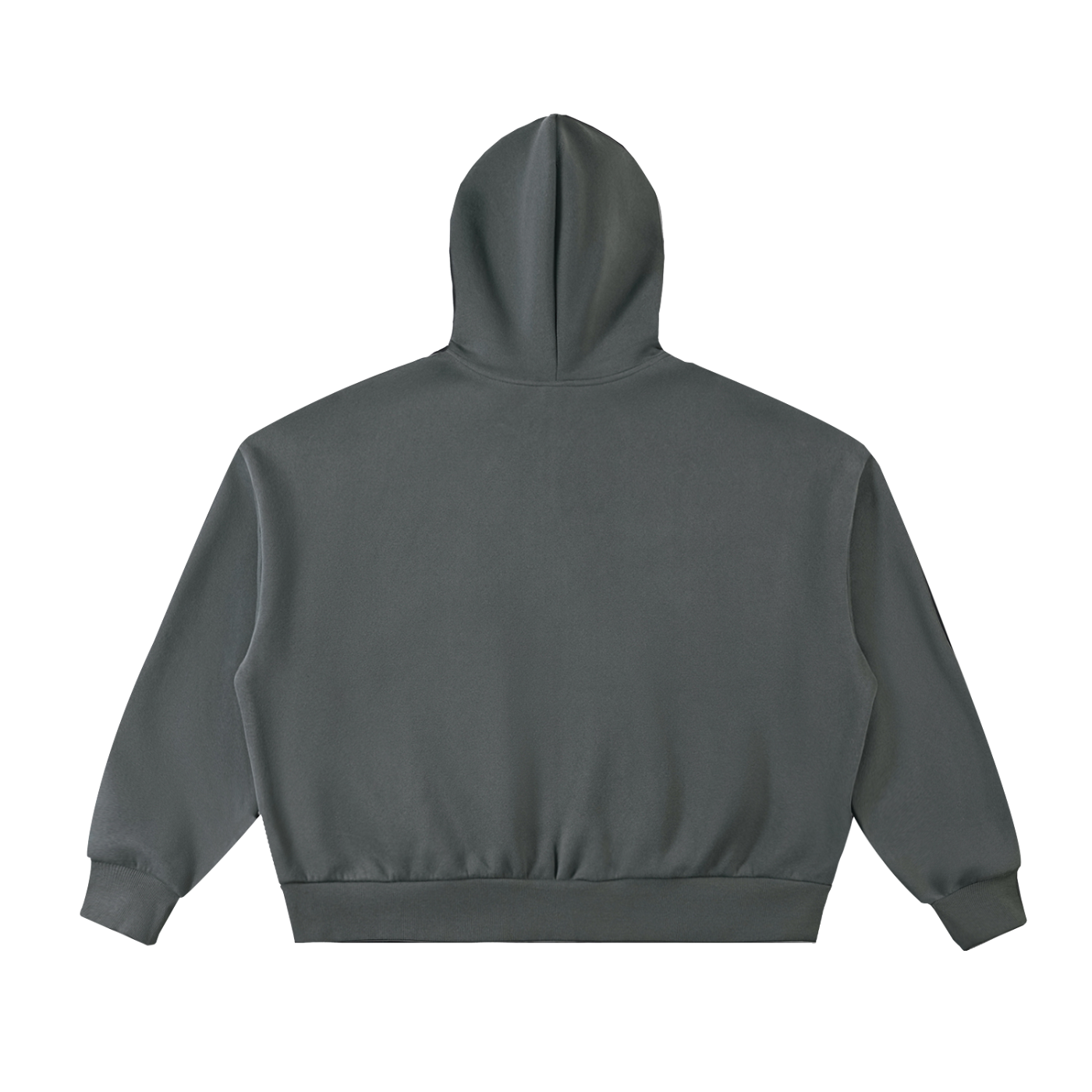 Future-Homme Fleece Please Full Zip Hoodie flat lay in charcoal gray backside on a white background.