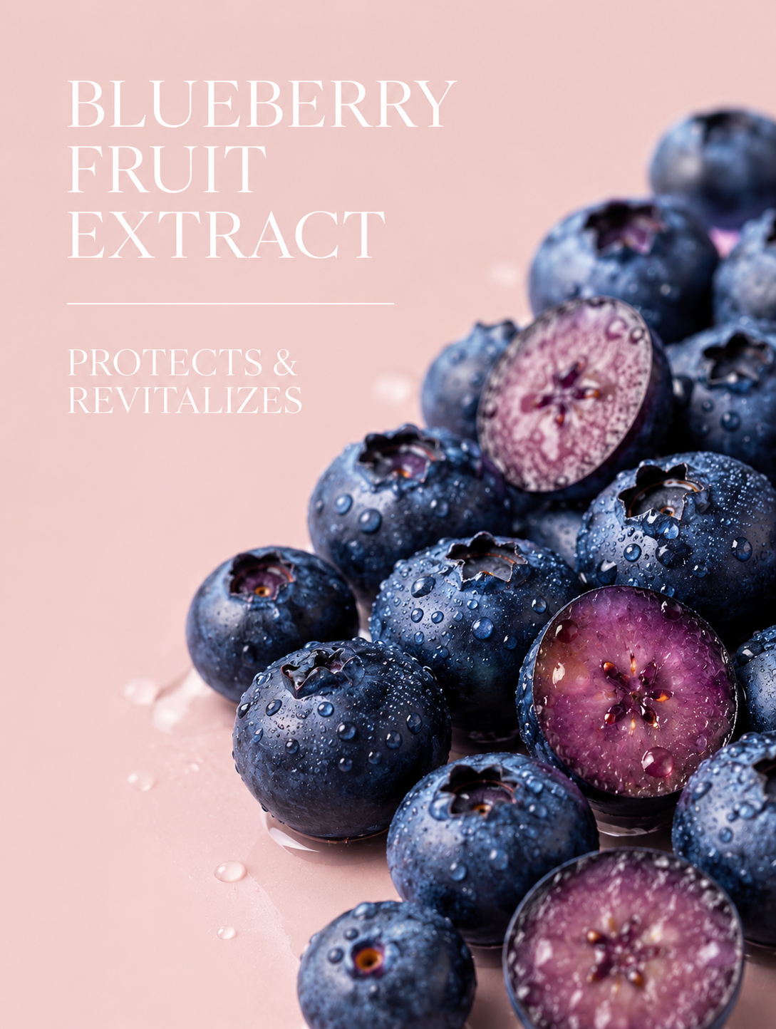 Blueberries with water droplets on a pink background, labeled 'Blueberry Fruit Extract'.