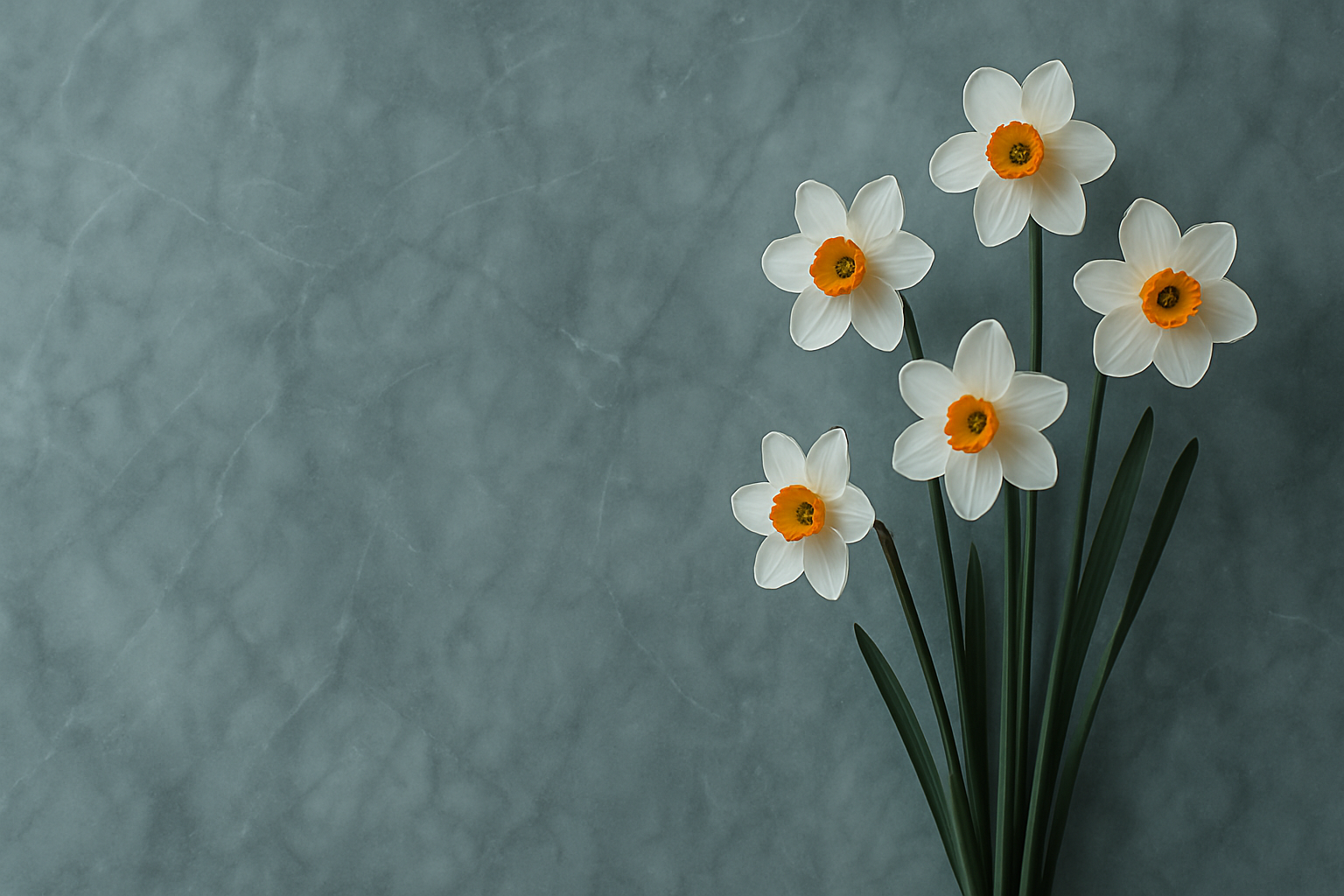 A signature Future-Homme background of gray green textured marble wall with darker grey veining and a stem of 5 narcissus flowers in white with orange center and tall green stems. 