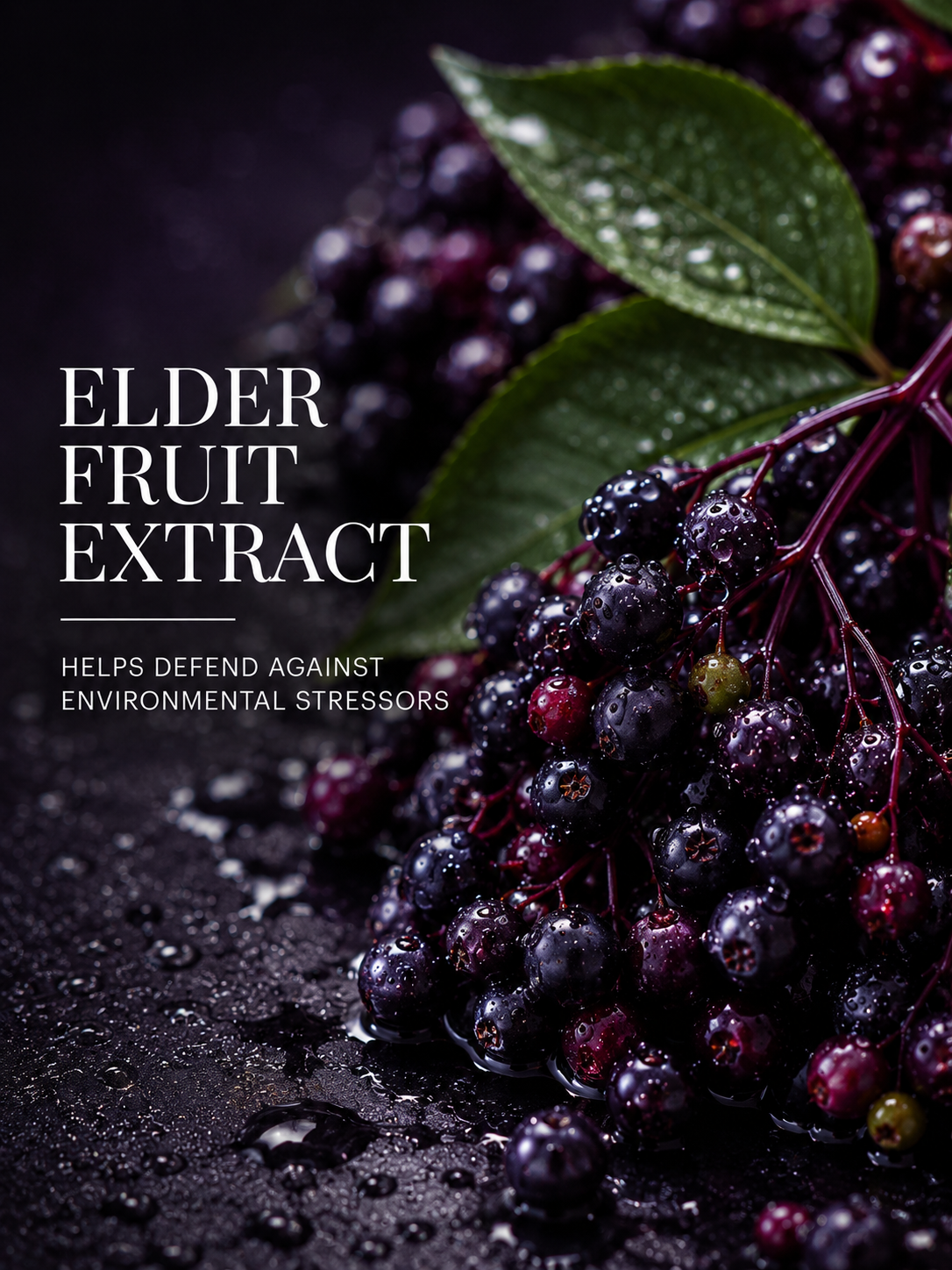 Elder fruit extract with text on a dark background
