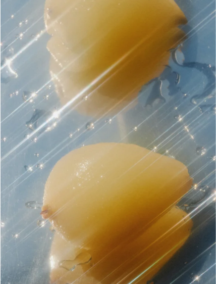Two peeled pears on a clear plastic tray with a blue background