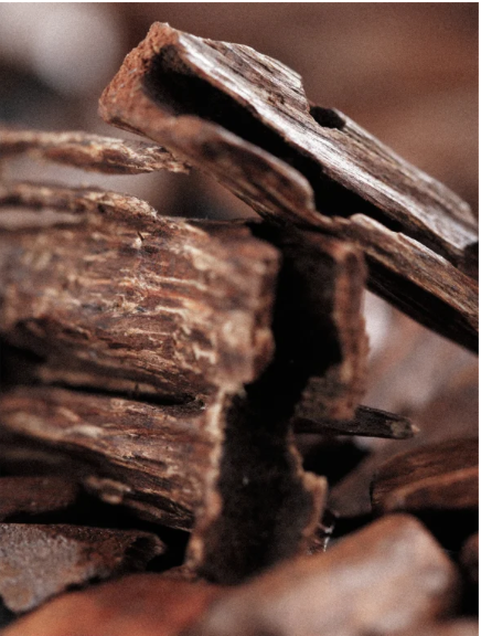 Close-up of broken chocolate pieces with a blurred background
