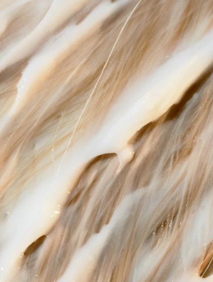 Close-up of beige and brown hair strands