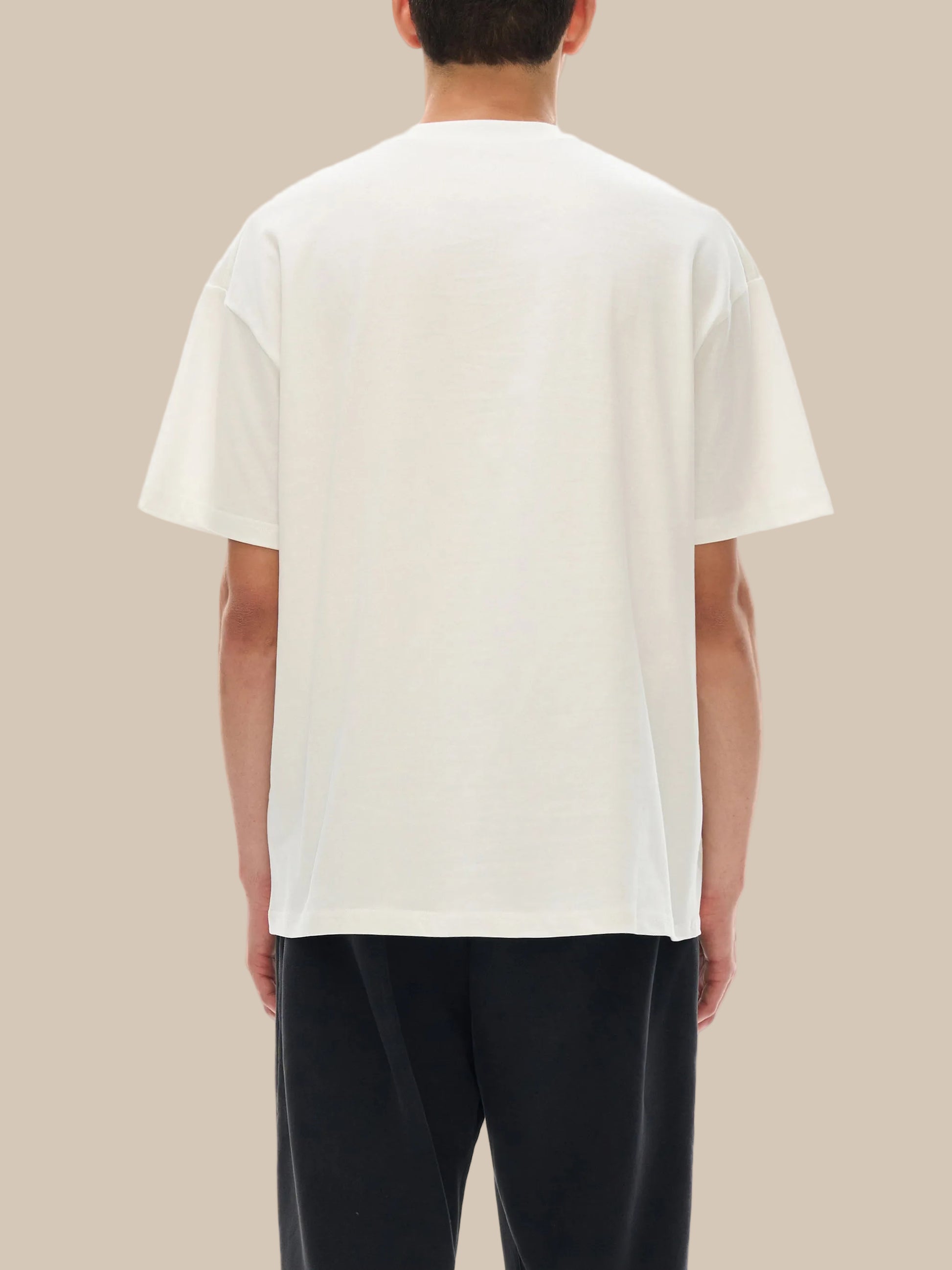 Person wearing a plain white t-shirt on a white background