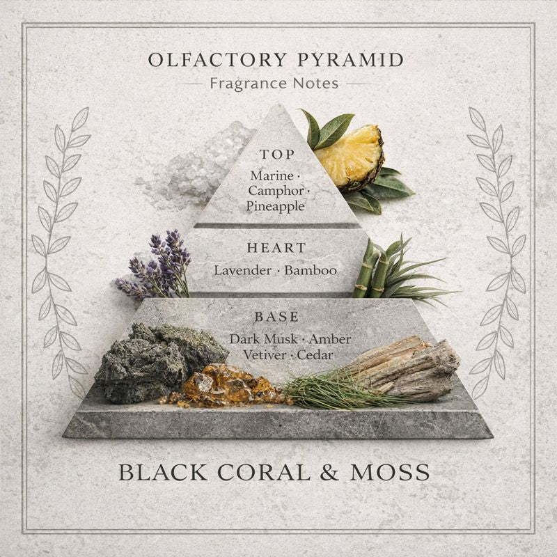 Black Coral & Moss fragrance notes 