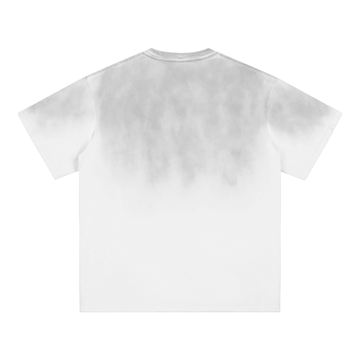 Flat lay of the Future-Homme ombre Effect t-shirt in white back side on a white background 