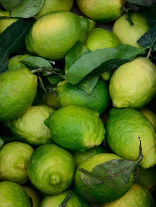 Stack of green limes with leaves. 