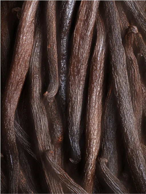 Close-up of vanilla beans with a dark background