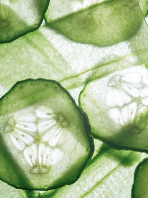 Close up of sliced cucumber ingredient with a transparent light behind. 