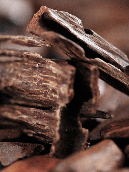 Close up of cedar wood bark. 