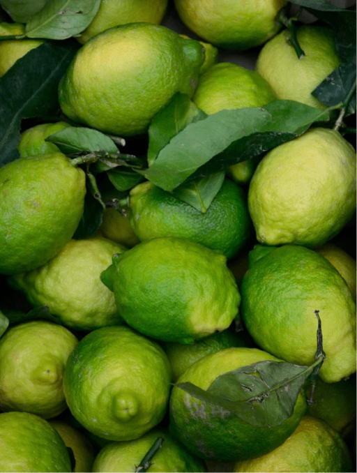 Close up of a pile of green limes with leaves. 