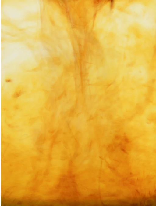 Close-up of backlit Amber. 