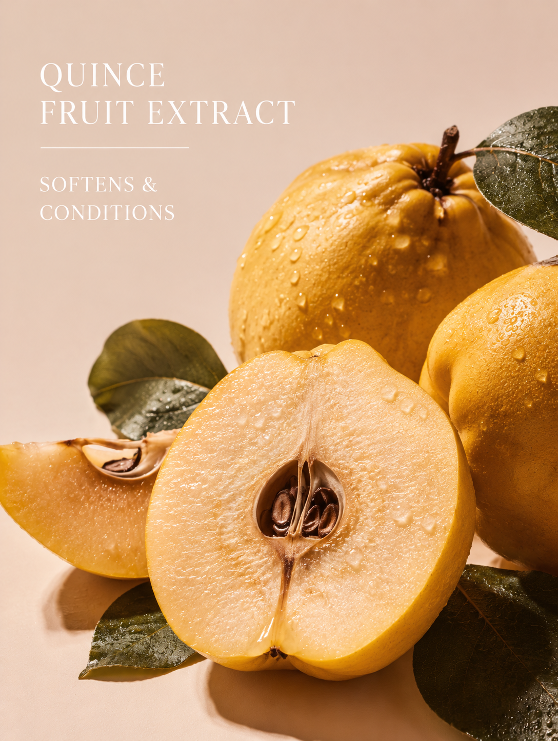 Quince fruit with a focus on extract, softens & conditions text on a beige background