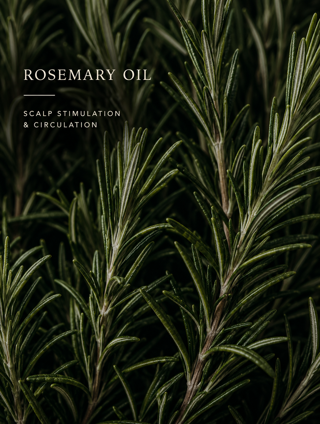 Rosemary oil text overlay on a dark background with rosemary leaves